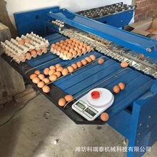 厂家直销选蛋机 蛋品按重量分大小分级专用设备 鸡蛋鸭蛋分拣机