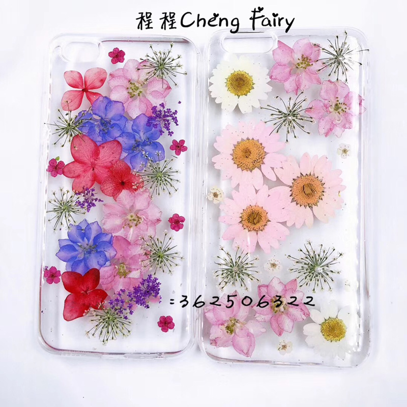 小雏菊白晶菊干花压花 滴胶手机壳花瓣妆儿童diy相框书签台灯材料