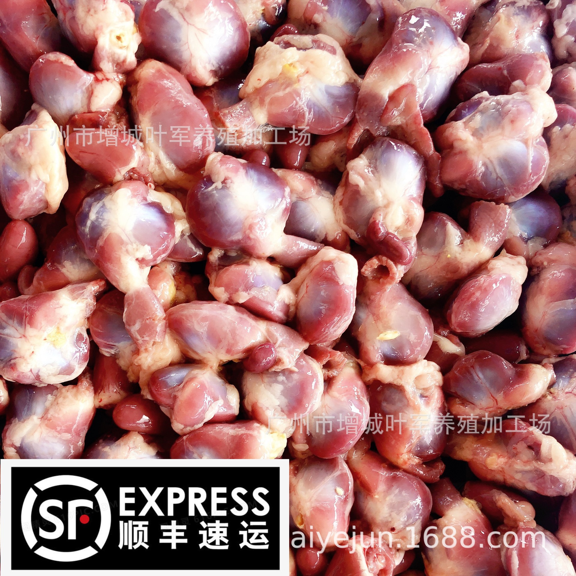 鸽子冰冻鸽肾(已剥净)