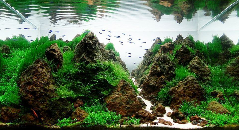 鱼缸底砂菲律宾砂河沙陶粒白沙黄金沙装饰造景化妆砂细沙