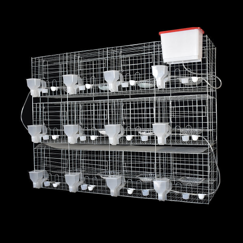 鸽子笼养殖特大号12位16位肉鸽繁殖笼信鸽配对笼家用鸽笼鸽棚