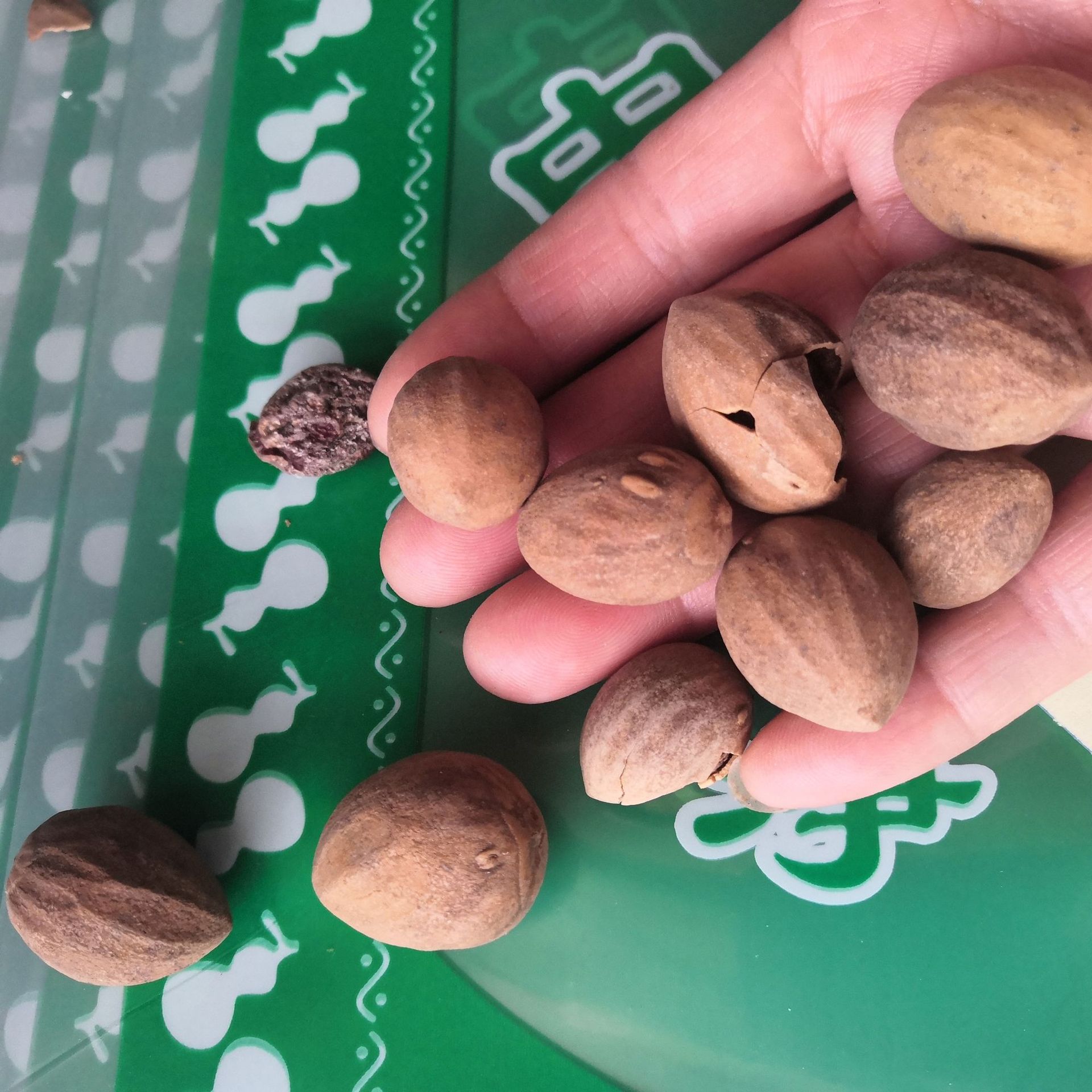 中药材香榧玉榧木原料玉山果榧子赤果榧子大榧子香榧