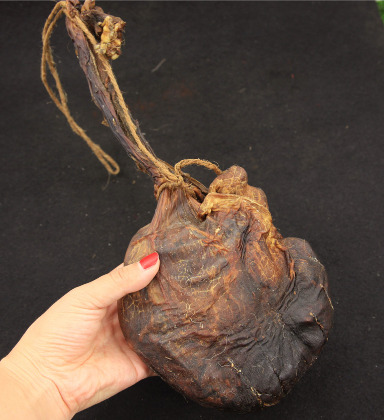 吉林鹿乡批发【鹿胎100只大货】梅花鹿胎盘血鲜鹿胎招全国代理