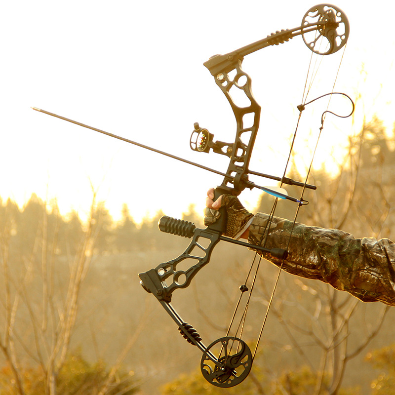 现货批发鹰隼n1复合滑轮弓箭户外射箭射鱼器材可装箭盒渔壶复合弓