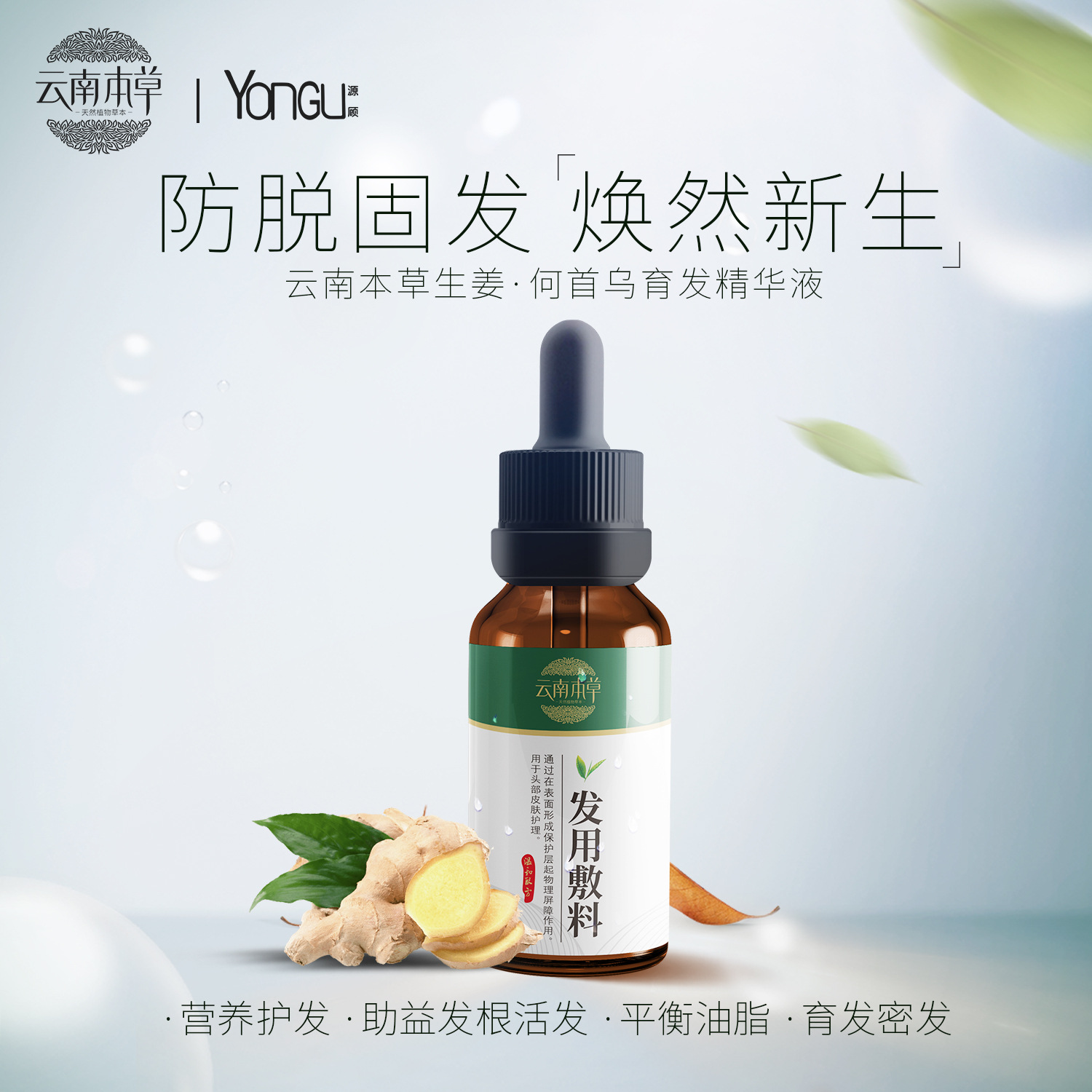 云南本草防脱育发精华液30ml生姜洗发水何首乌洗发护发营养育发液