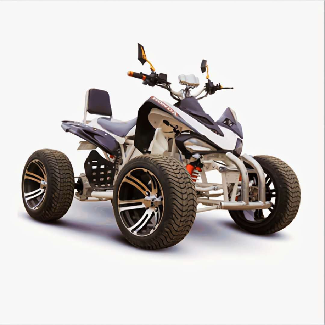 250cc沙滩车成人越野摩托车全地形atv汽油大火星atv