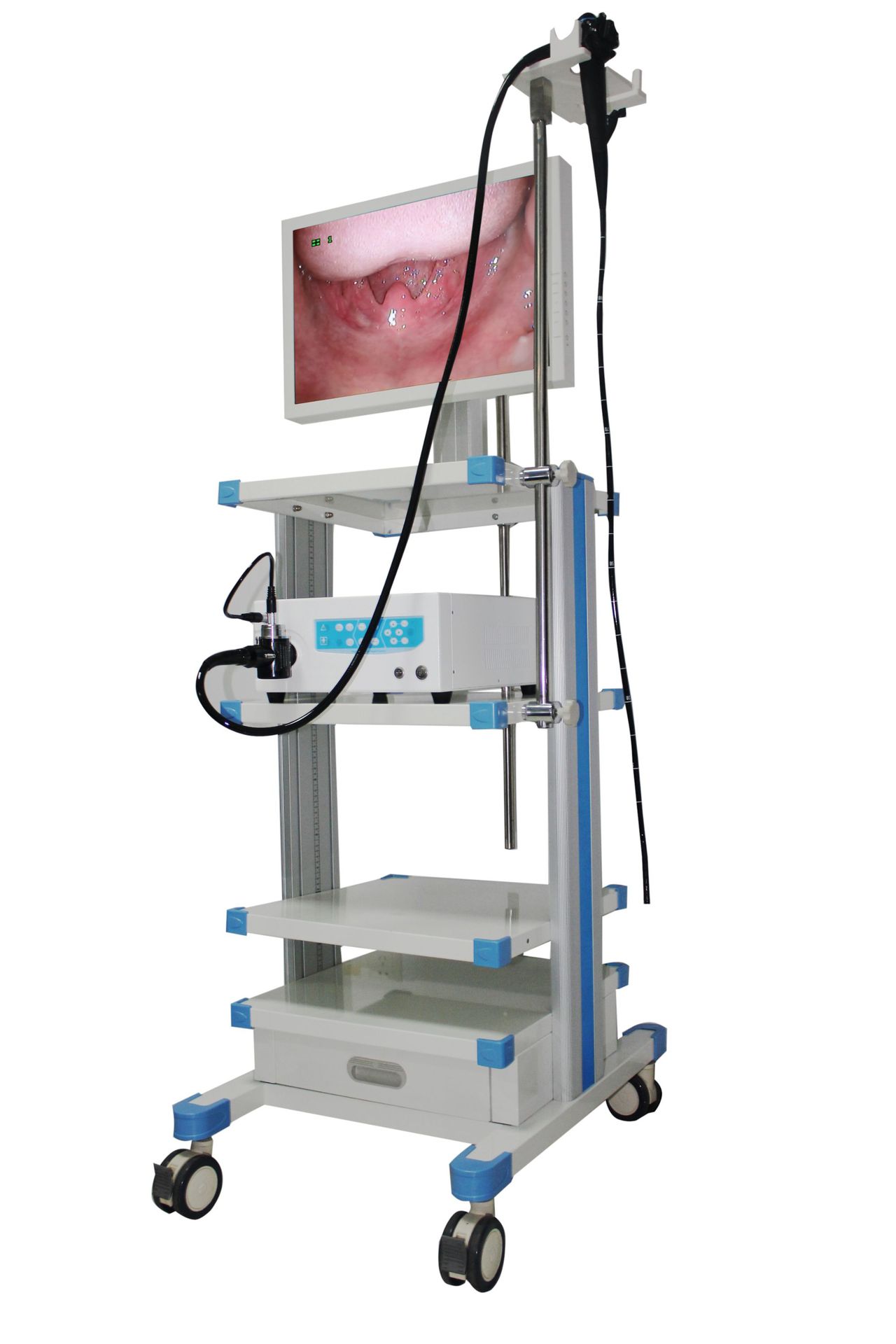 海豚牛羊大动物内窥镜新型传感数字式电子内窥镜vet6000