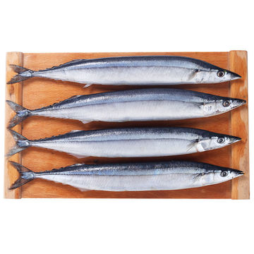 5斤包邮海捕新鲜活冻秋刀鱼速冻日式深海鱼冻鲜活海鲜烧烤