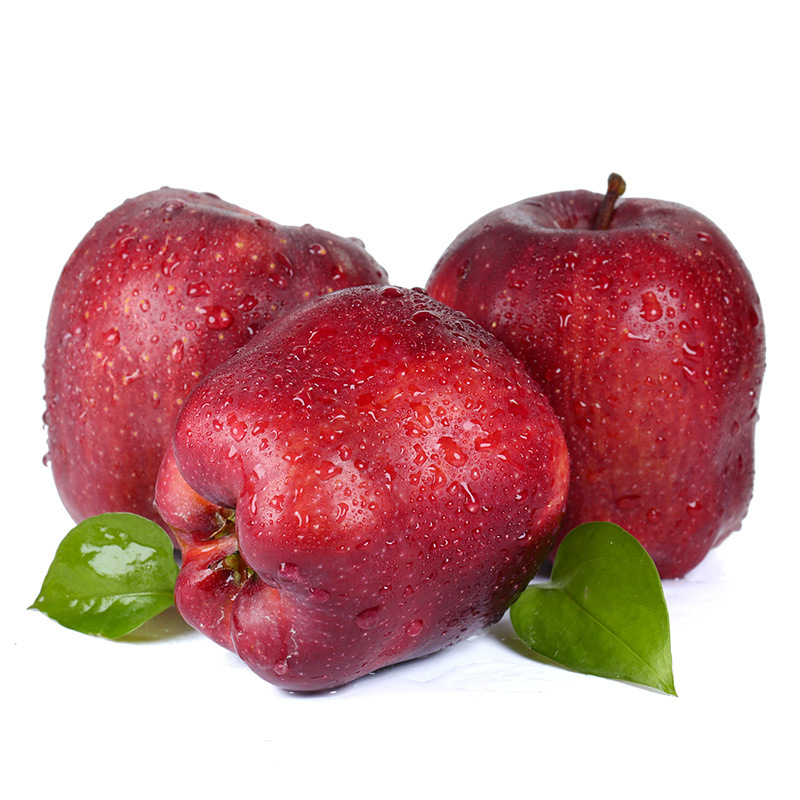 甘肃天水花牛苹果 当季新鲜水果宝宝辅食 粉面香甜红蛇果包邮代发