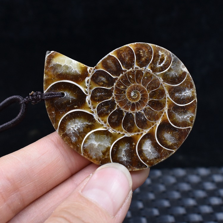 天然古生物化石饰品 吊坠 玉化菊石化石斑彩螺化石吊坠文艺仿古风
