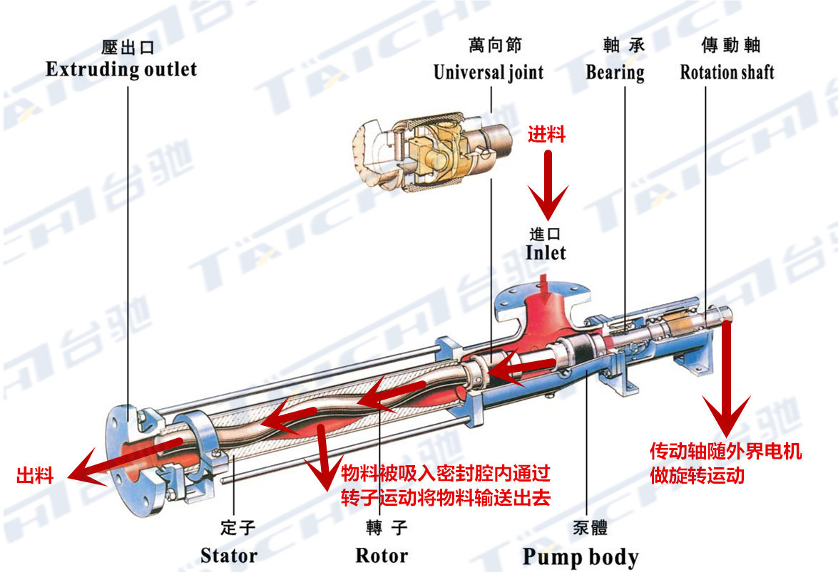 不锈钢喂料型螺杆泵 g型破碎葡萄浓浆泵 方口进料螺杆推进螺杆泵