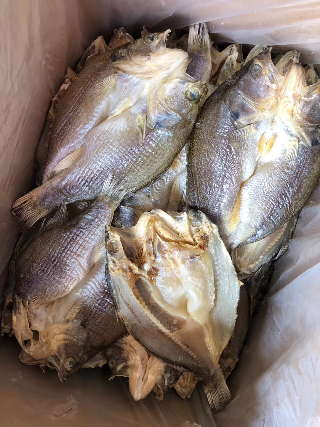 鲈鱼 鲈鱼干批发 鲈鱼片 鱼干 海鲜干货批发 海味干货 量大从优