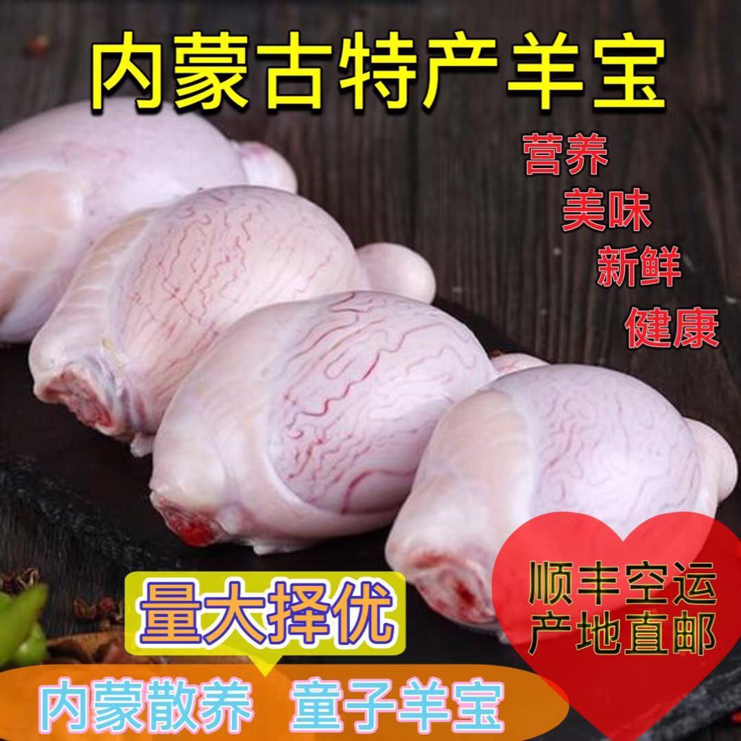 内蒙古直供新鲜散养羔羊羊宝羊蛋涌敬湛臼巢难虮σ患⒀蛉