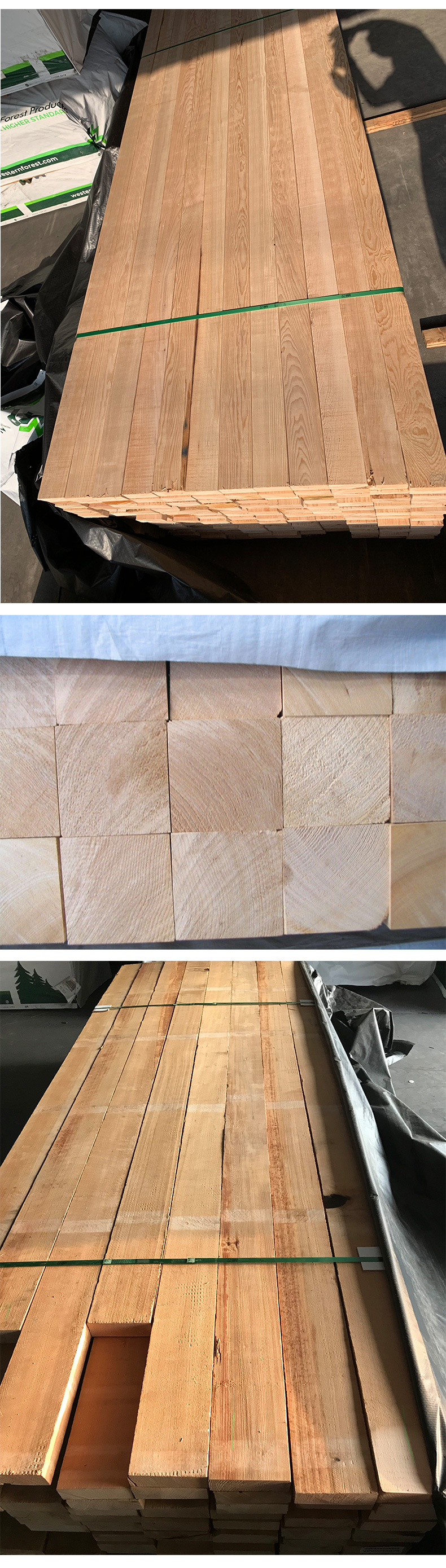 铁杉木加拿大方铁杉木材铁杉无节木材香柏木工程用料铁杉木铁杉木