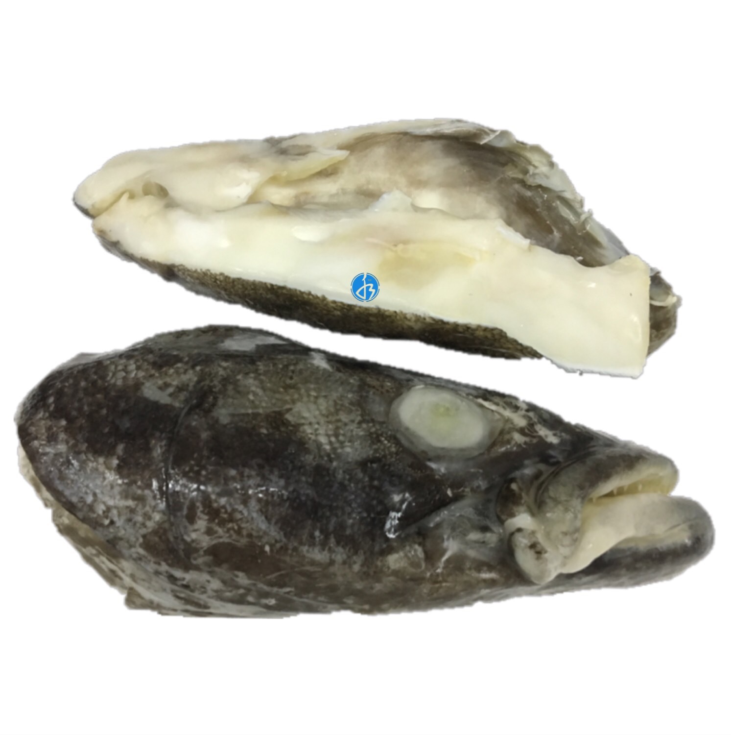 银鳕鱼头 南极犬牙鱼头约600-800g半个 红烧剁椒鱼头煲