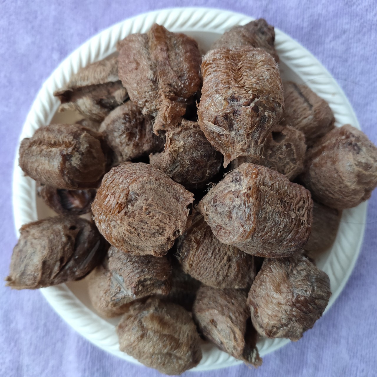 批发桑螵蛸桑蛸螳螂子规格齐全承接订单支持大货量大从优