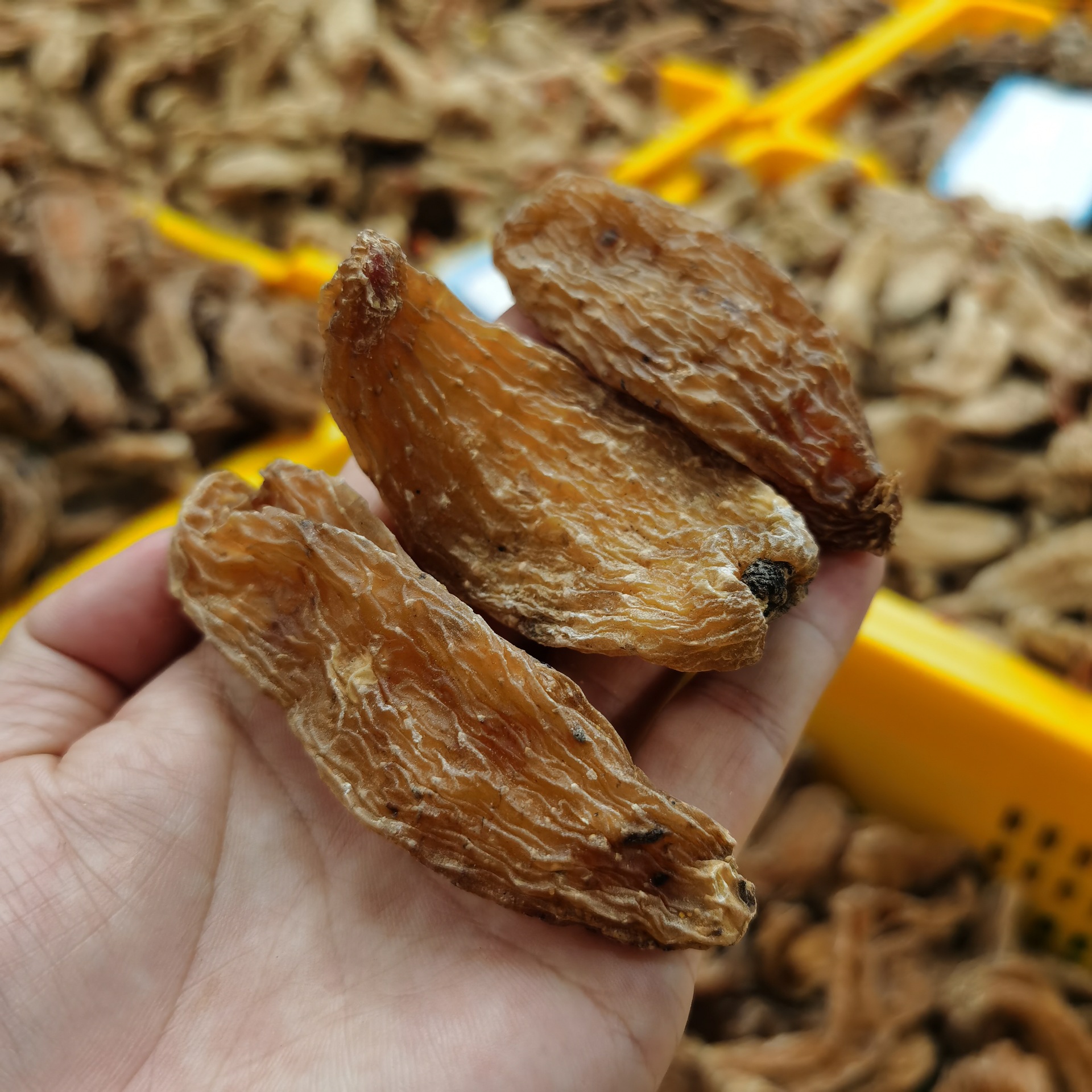 众珍元云南丽江红天麻雪山天麻血可切天麻片大红麻春麻 500克/袋