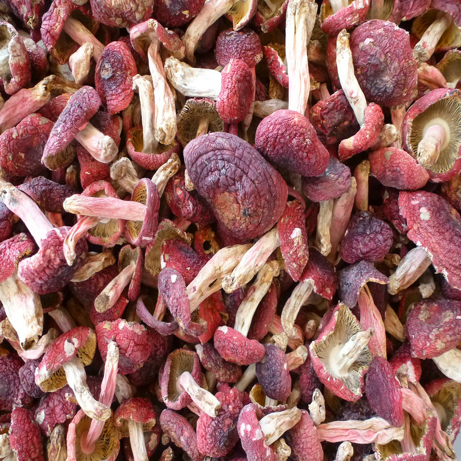 七天无理由退货物流云南 昆明规格选择规格属性红菇品种裕菌隆品牌90