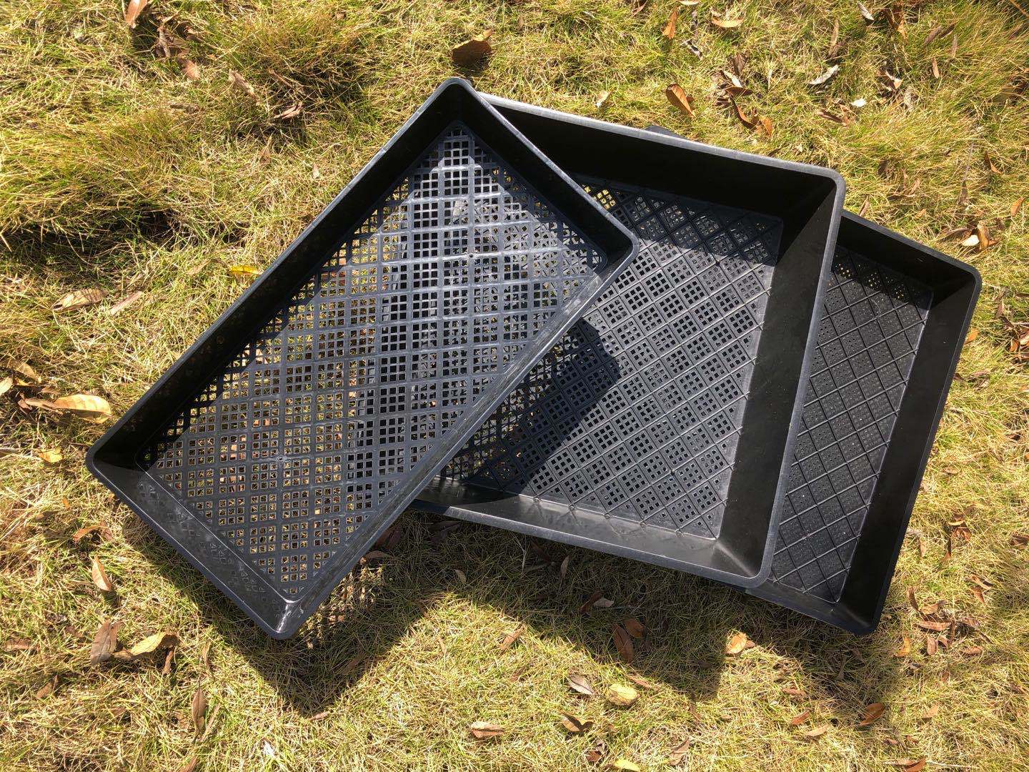 厂家直销正方盘 多肉育苗盘 玛咖育苗方盘 育秧苗盘 菜苗盘托盘