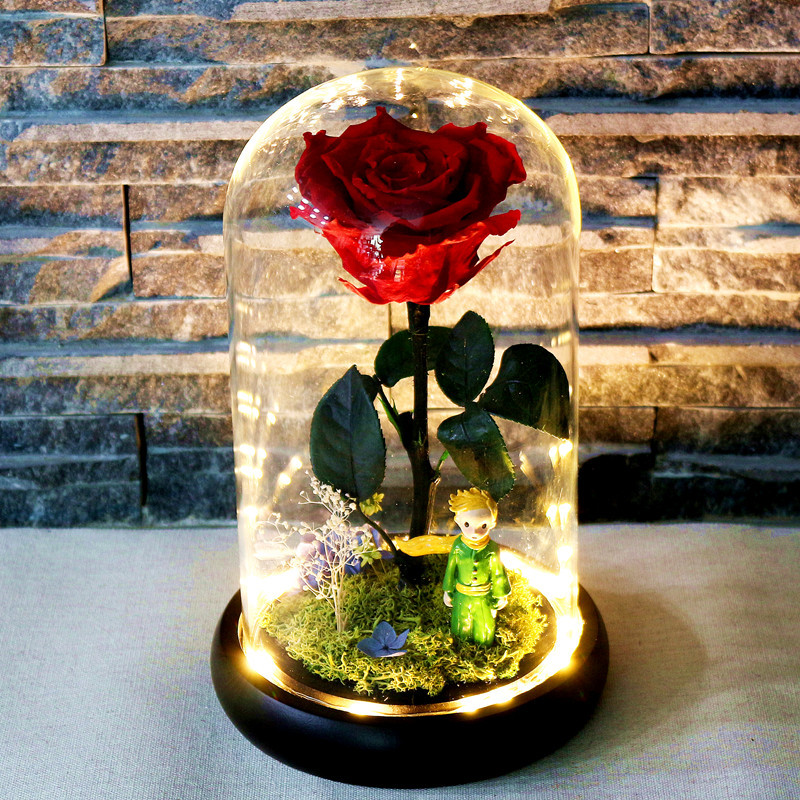 小王子的玫瑰花七夕情人节创意礼品永生花玻璃罩礼盒女生礼物现货