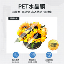 PET水晶膜硬化膜 玻璃膜高硬化特粘保护膜 影楼无框画厂家定制