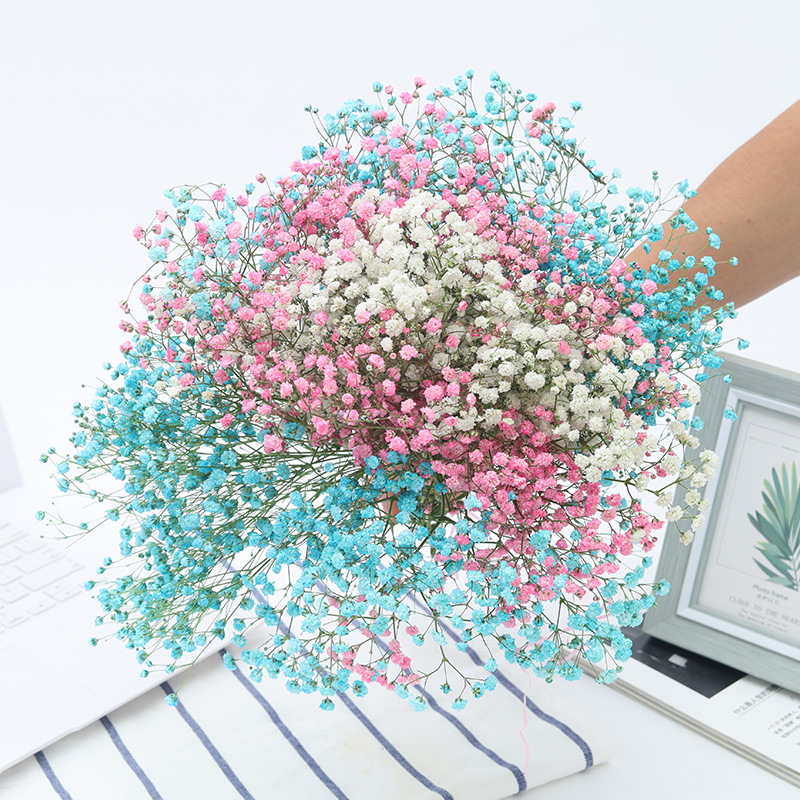 云南满天星 干花花束 家居摆设装饰小清新卧室客厅办公室摆件风干