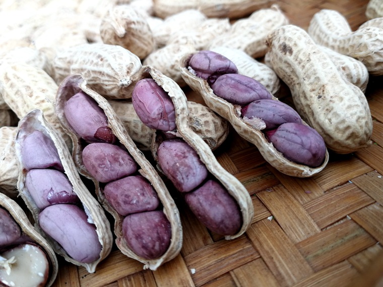 龙岩紫衣花生500克 连城湿烤花生2粒到4粒饱满脆酥香五香四粒红