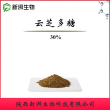 云芝多糖30% 云芝提取物 食品级云芝粉 新湃云芝多糖厂家现货批发