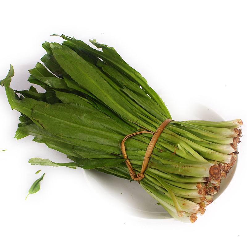 4斤包邮 云南大香菜新鲜老缅芫荽云南傣族产香料大香菜大芫茜