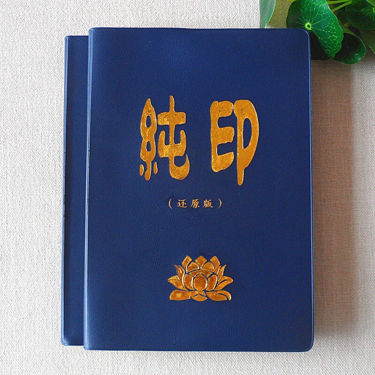 【现货】纯印 纯印老人生平传记 佛教结缘书籍