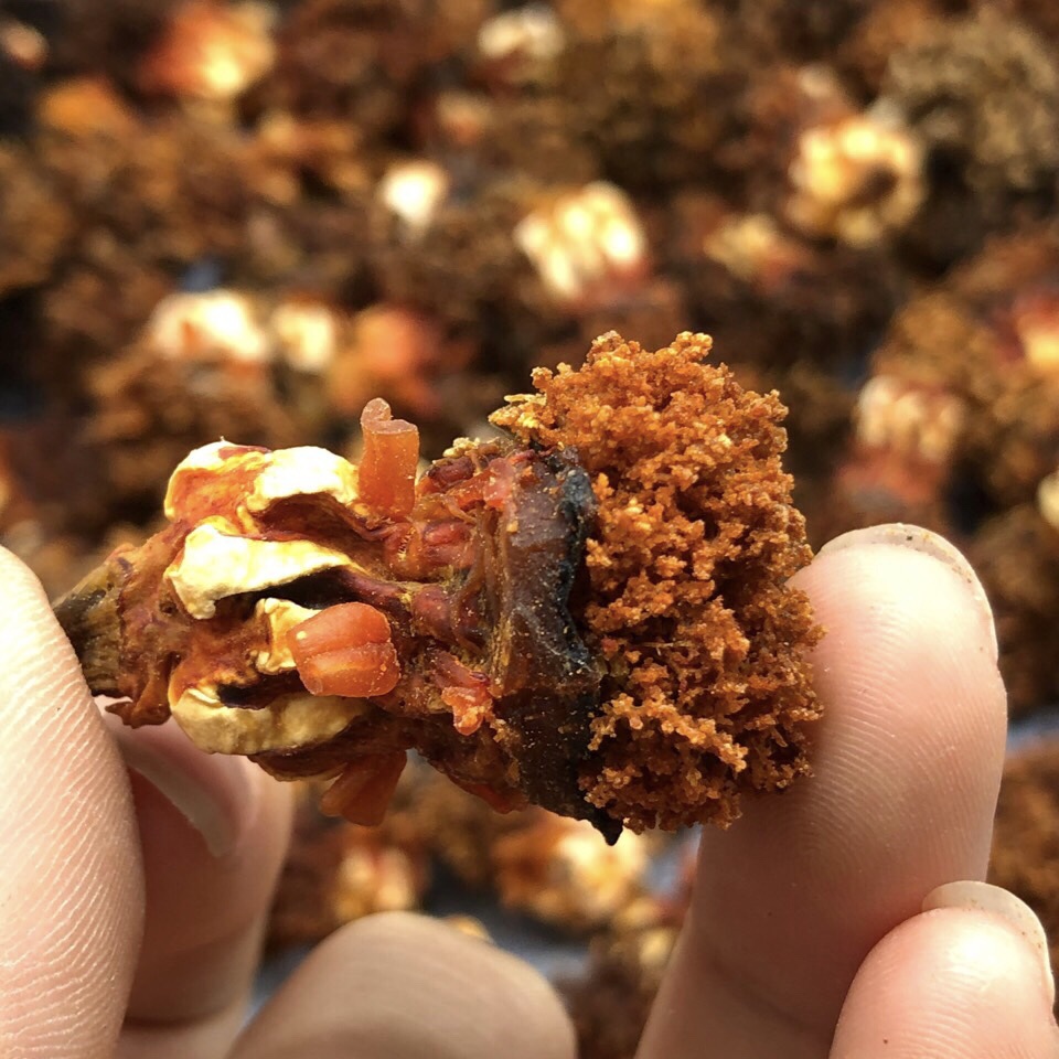 海参花淡干产地货源海参煲汤滋补食材一德路海味干货批发一件代发