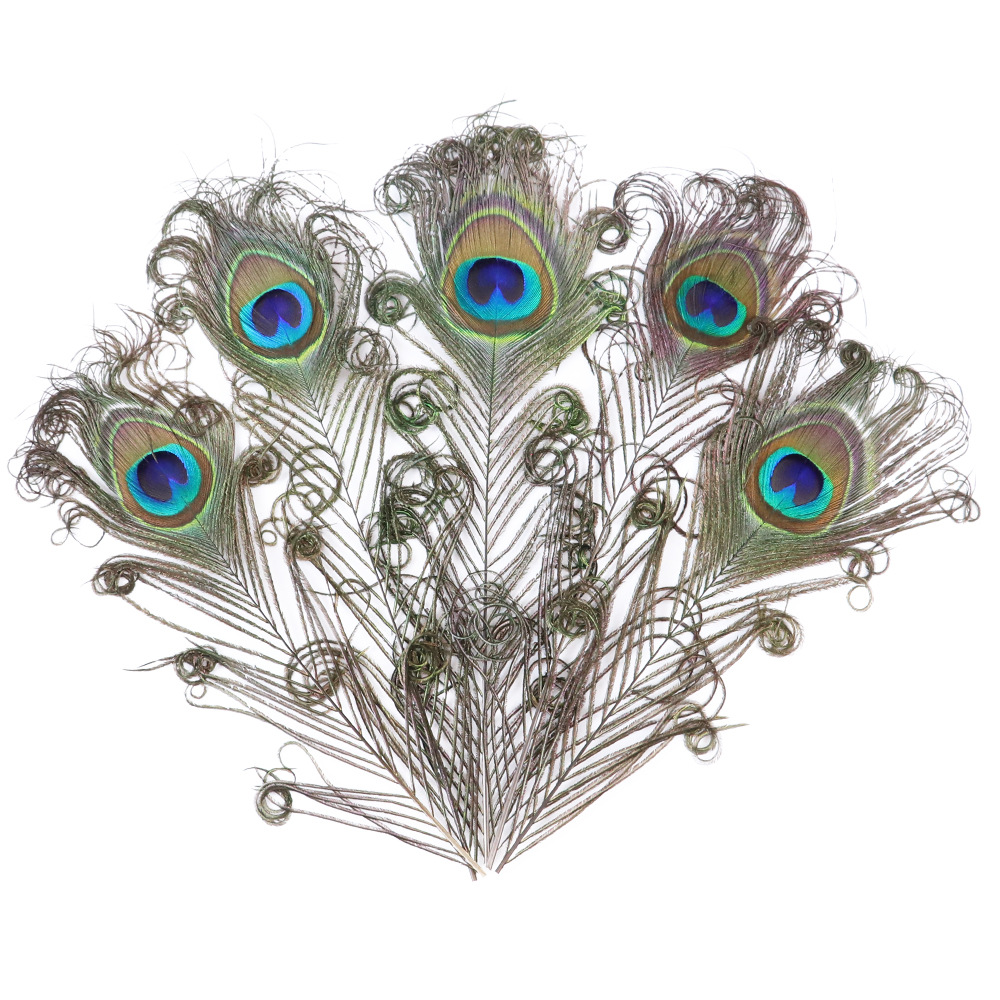 批发天然孔雀毛大眼睛插花工艺品孔雀翎羽可订染头饰配件辅料羽毛