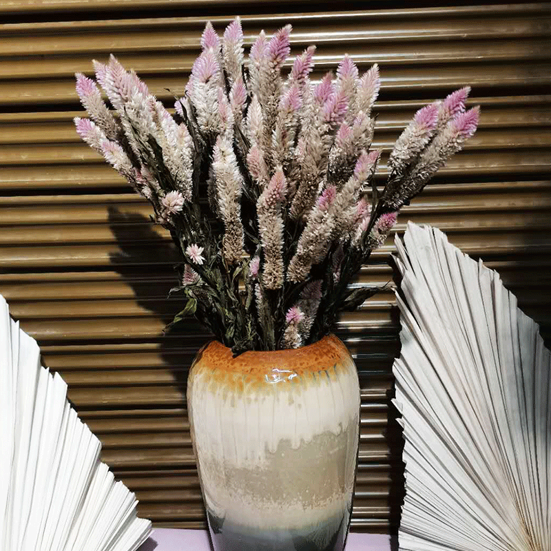 凤尾花干花多头凤尾花居家吊顶摆设装饰干花批发装饰配花配草干花