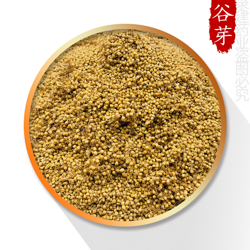中药材大全谷芽1000克录建药业中药材批发供应炒谷芽