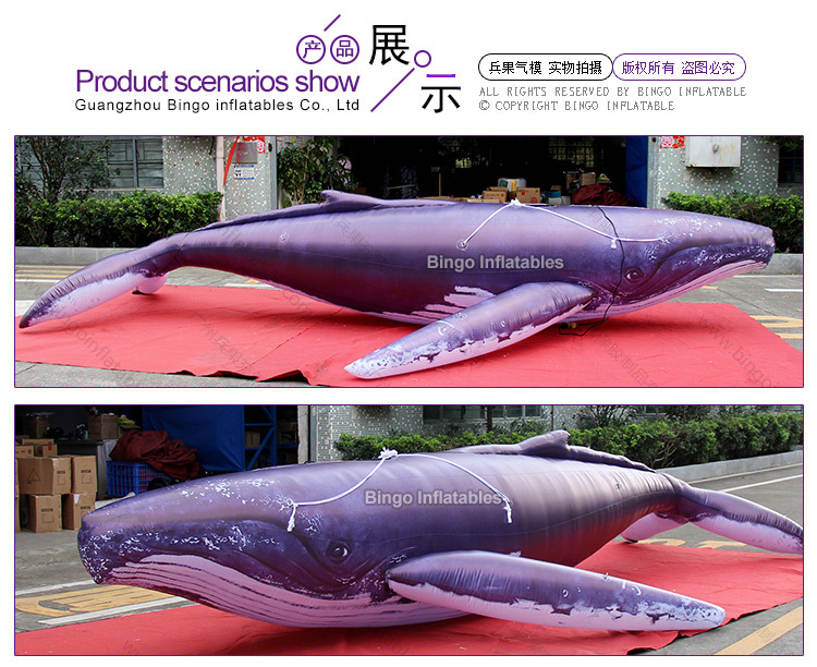 海洋生物主题鲸鱼充气模型充气鲨鱼虎鲸蓝鲸座头鲸鱼主题派对气模