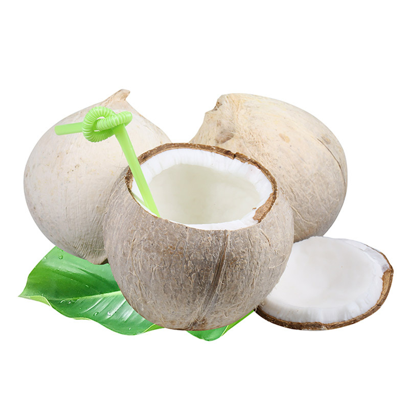 【全年款】海南椰白奶香椰青 新鲜白椰子孕妇水果椰青小椰子代发