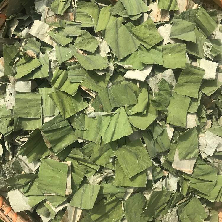 干荷叶干冬瓜皮茶