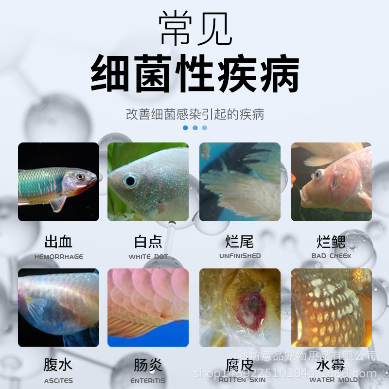 Aquarium Fish Tank Disinfection Special Preparation Fish Medicine Rotten Body Rotten Tail Rotten Fin Bacterial Fish Medicine