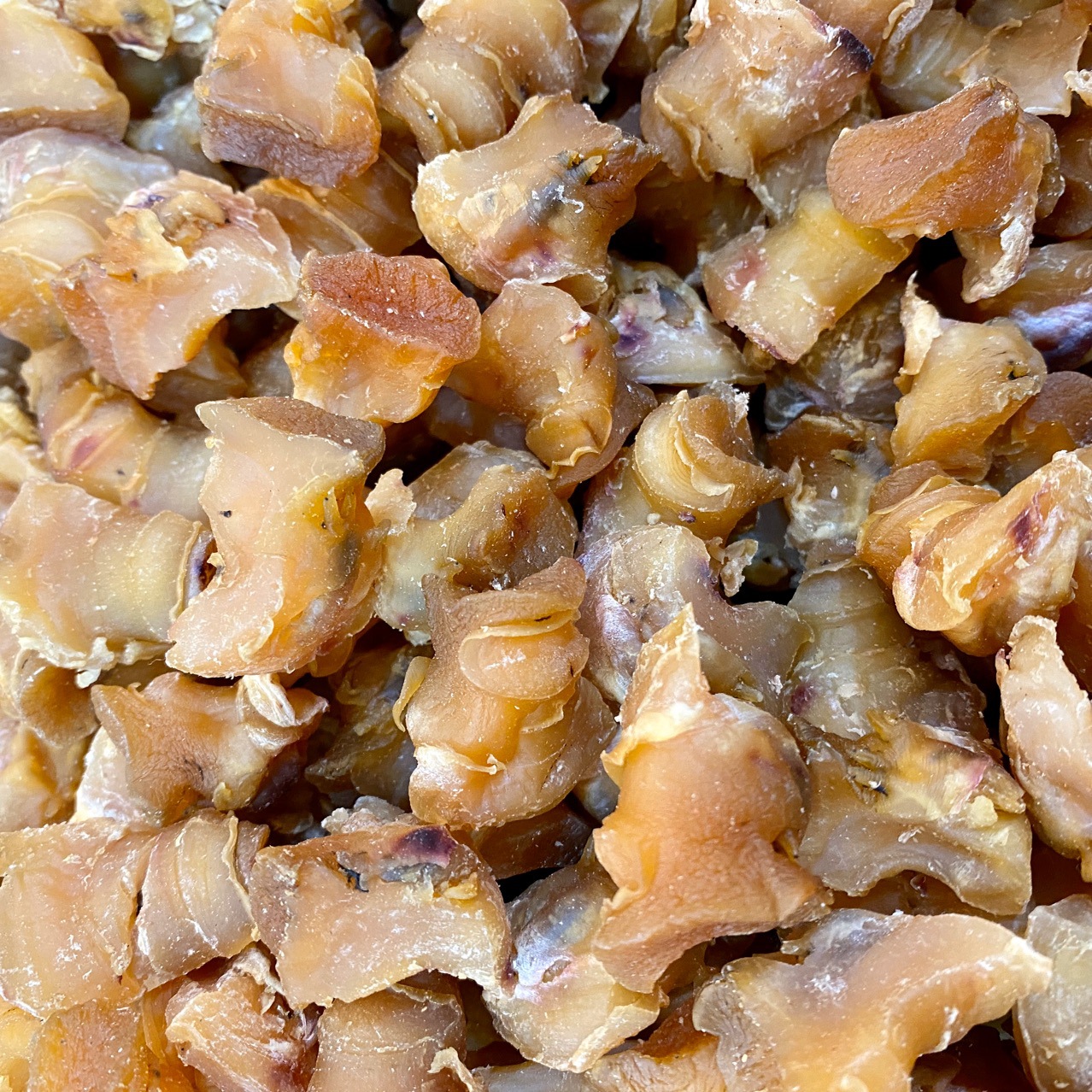 红螺头海螺肉干 酒店食材批发海鲜干货500g