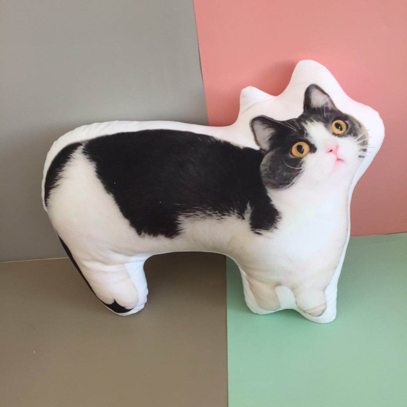 肖战同款坚果猫咪公仔玩偶毛绒玩具3d仿真猫咪印花抱枕靠垫批发