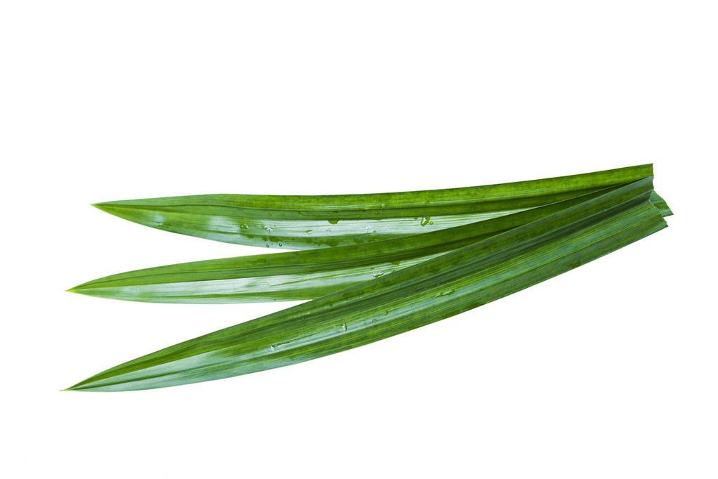 新鲜香兰叶农家食用班兰叶泰国斑斓叶一斤包邮12元 泡沫箱加冰