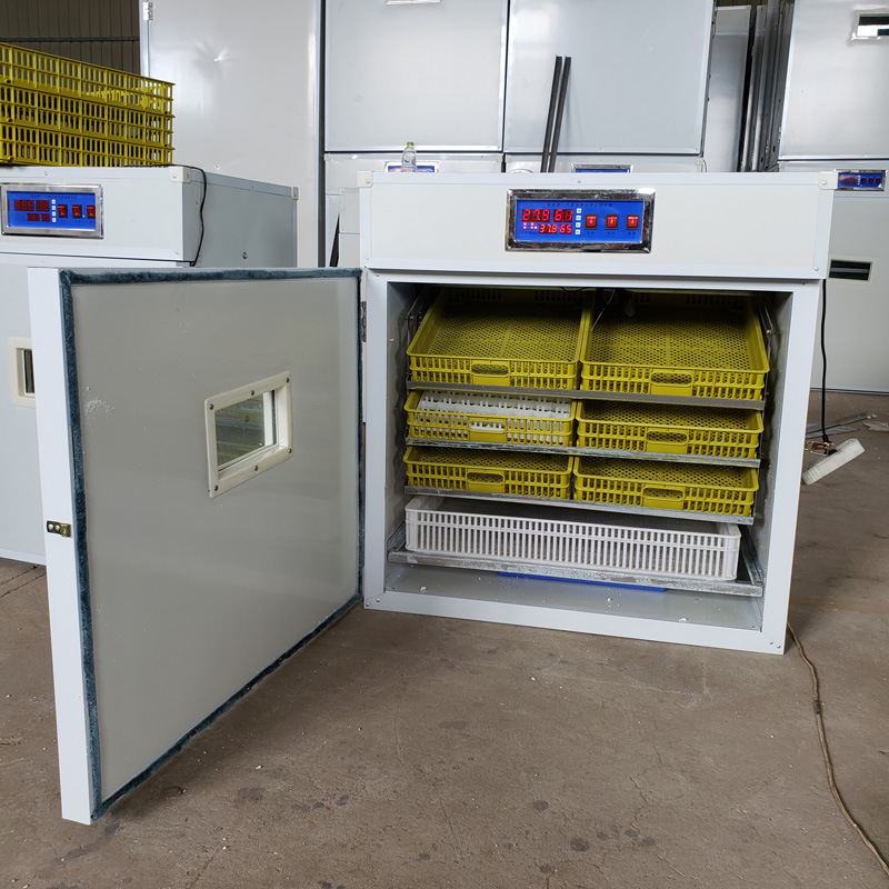一键照蛋鸡蛋孵蛋器 自动孵化机 鸡鸭孵化箱 鸡苗鸭苗孵化箱