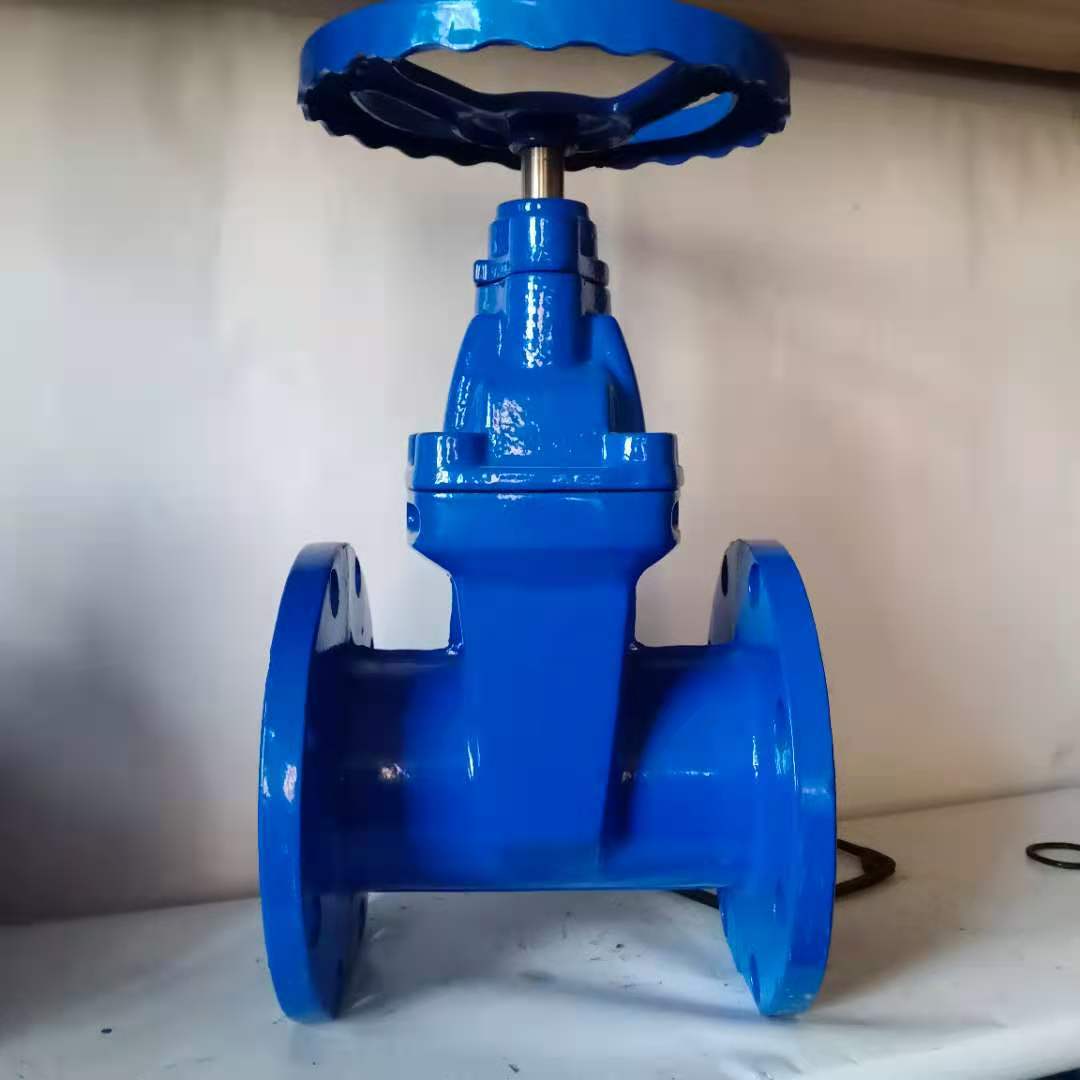 z45x法兰软密封闸阀厂家 球墨铸铁防护暗杆软密封闸阀定制