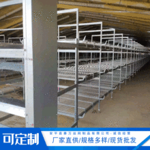 河北产地货源 三层阶梯式肉鸡笼 养殖笼具 自动出粪鸡笼
