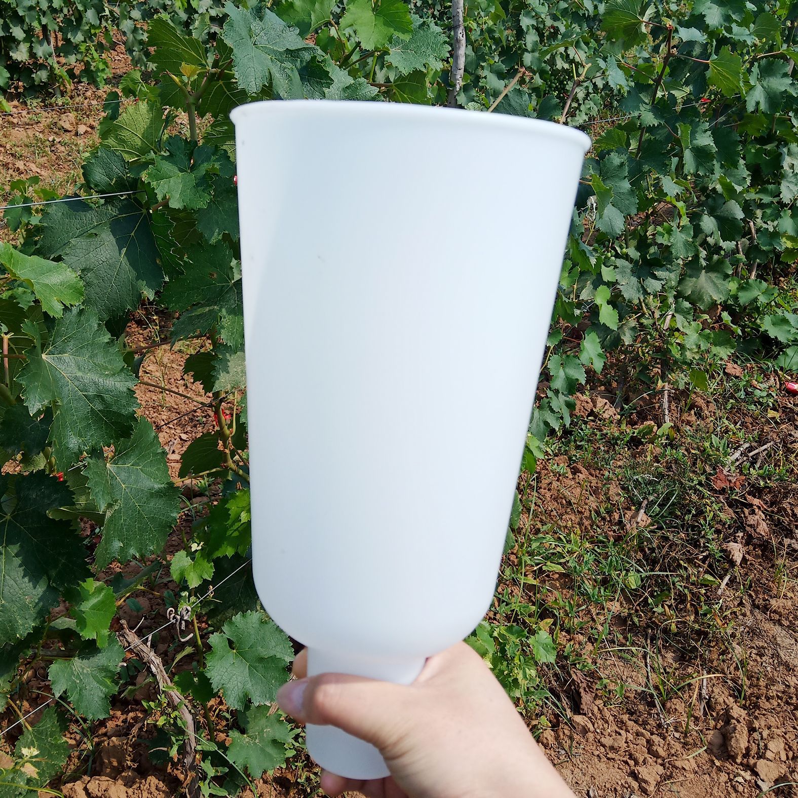 葡萄浸果杯 沾药拉穗膨果器 蘸药杯膨大剂红提阳光玫瑰大号膨果杯