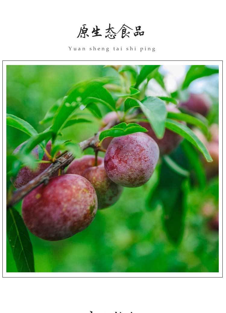 小包装永泰李干 话梅子半李蜜饯水果脯干 居家旅行办公室零食小吃