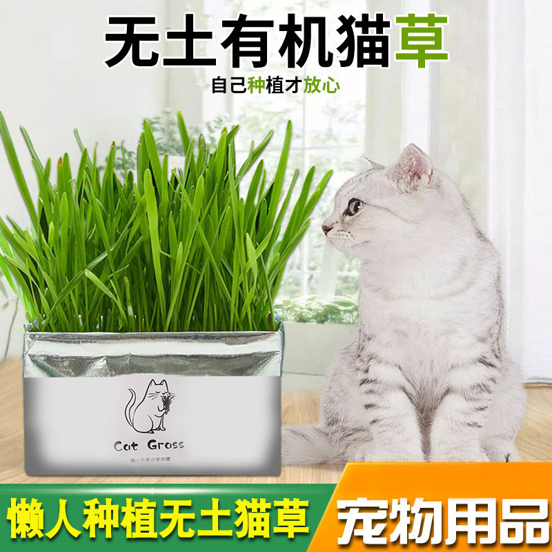 Factory in Stock Soilless Organic Cat Grass Cleaning Oral Depilation Ball Cat Grass Cultivation Set Cat-Related Products Wholesale