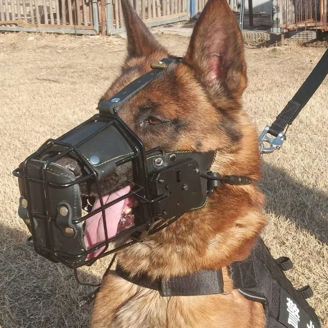 新款遥控金撞击口笼 训犬专用嘴套防咬人口罩训狗 专业嘴笼