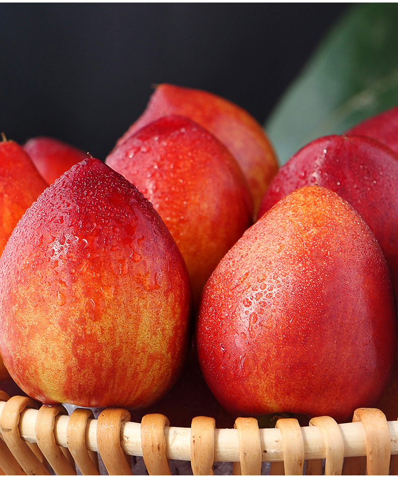 大连黄心油桃 3/5斤桃子新鲜脆甜黄肉蜜桃