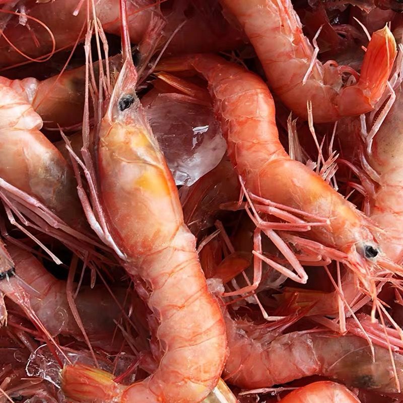 东海船捕大虾红头虾鲜活冷冻红虾深海船捕舟山大头虾剑虾500g